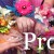 School Prom